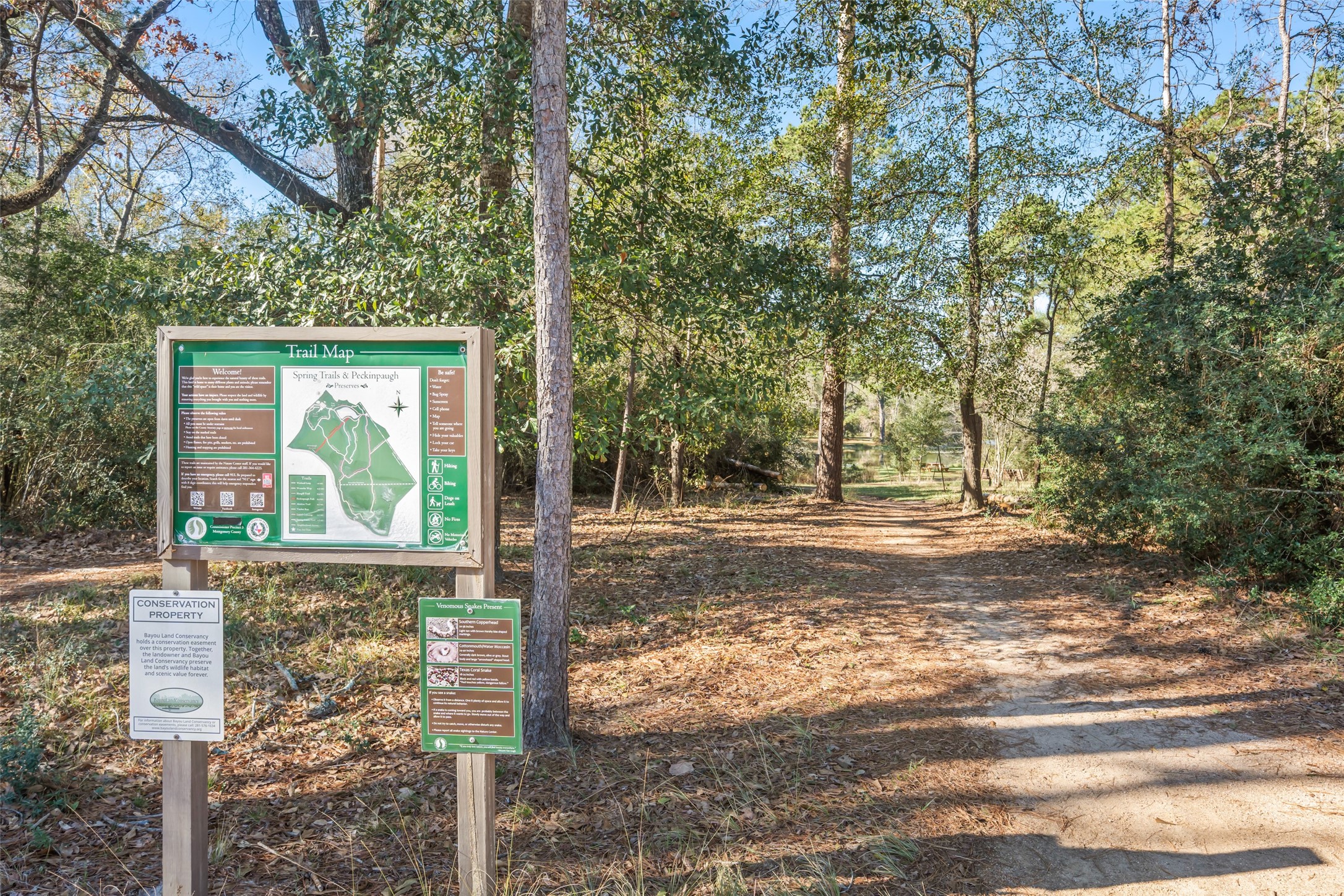 28318 Ryans Ridge Lane Spring, TX 77386 - Photo 38 of 48 a view of a house with backyard