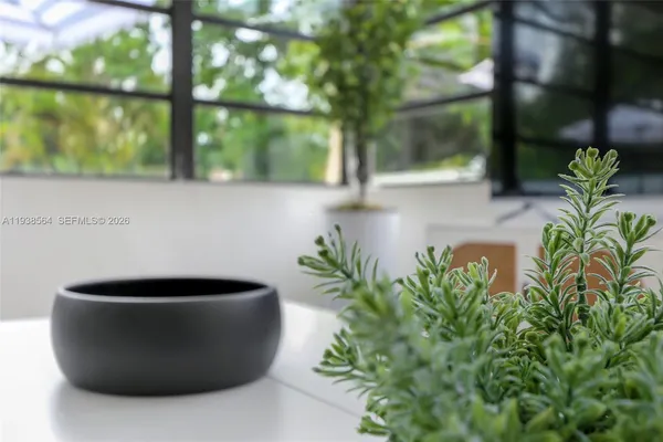 a view of two chair in the patio