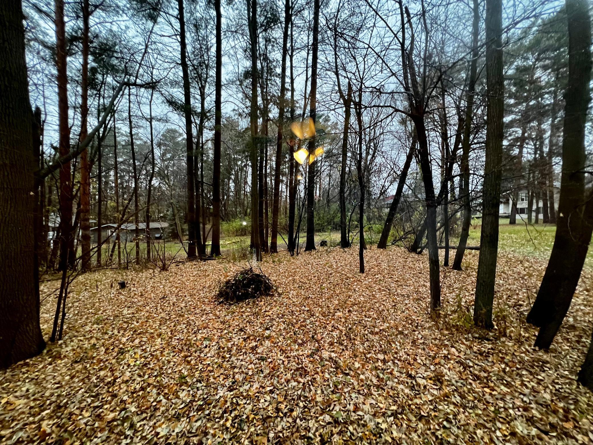 1113 2nd Avenue Howard Lake, MN 55349 - Photo 3 of 23