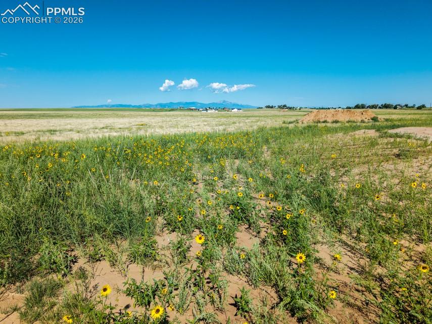 20523 Silverado Hl Loop Colorado Springs, CO 80928 - Photo 11 of 13 PEACEFUL PRAIRIE THAT STRETCHES TO THE PEAKS!