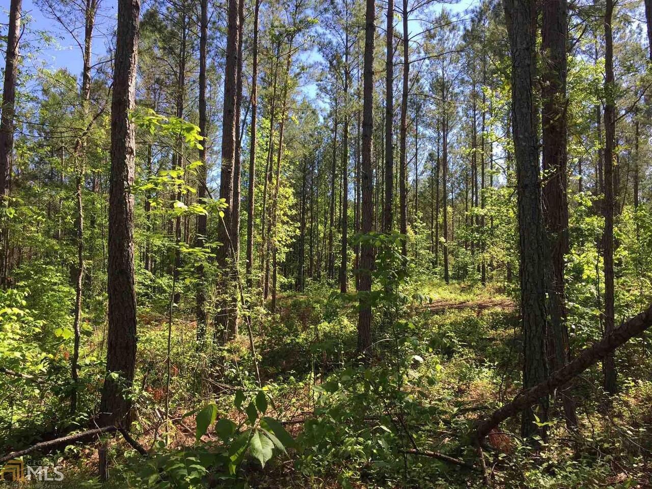0 Pin Hook Road, Unit TRACT 3 Ranger, GA 30734 - Photo 1 of 1