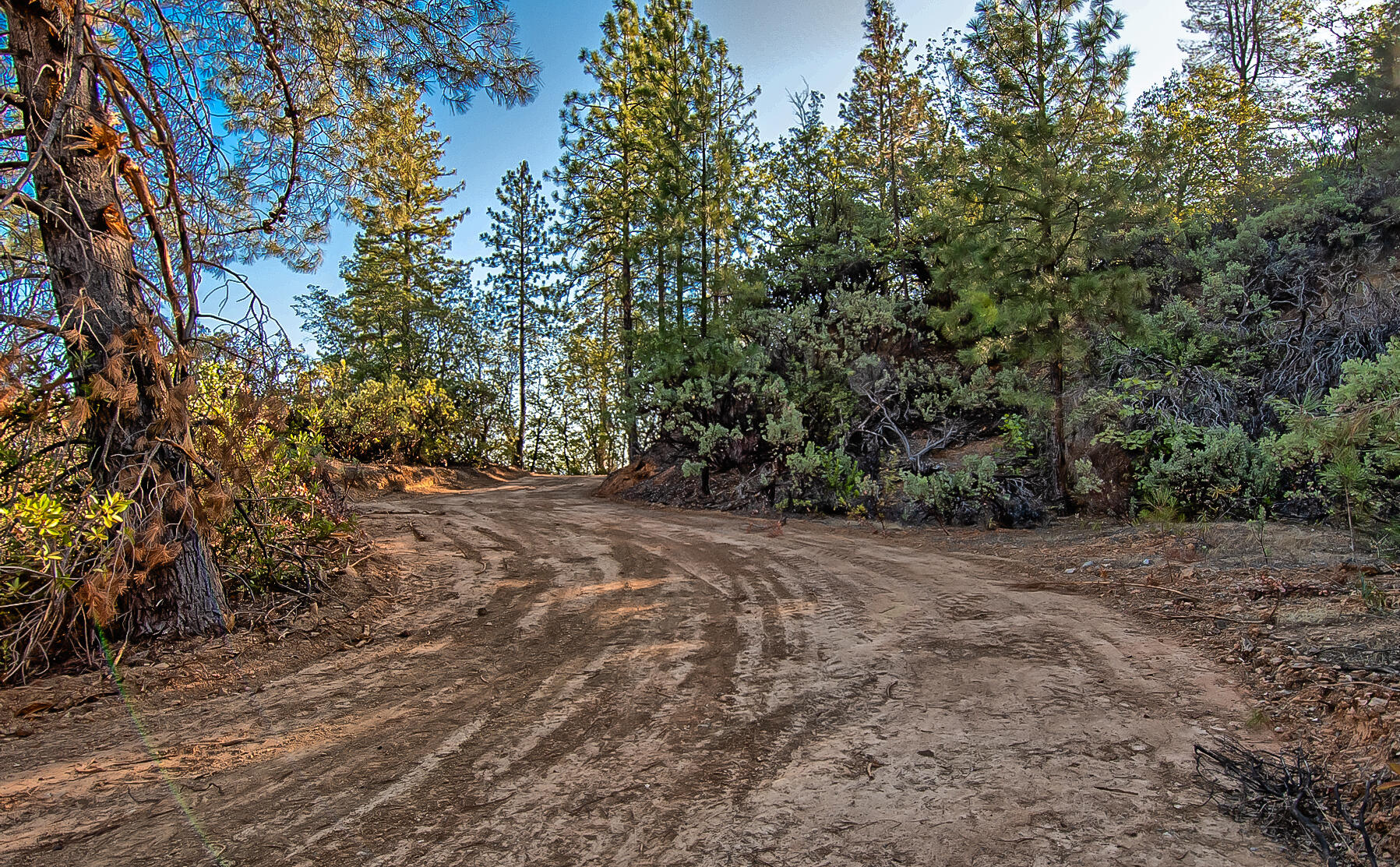 Walker Mine Road Redding, CA 96003 - Photo 13 of 38 a view of an outdoor space with trees