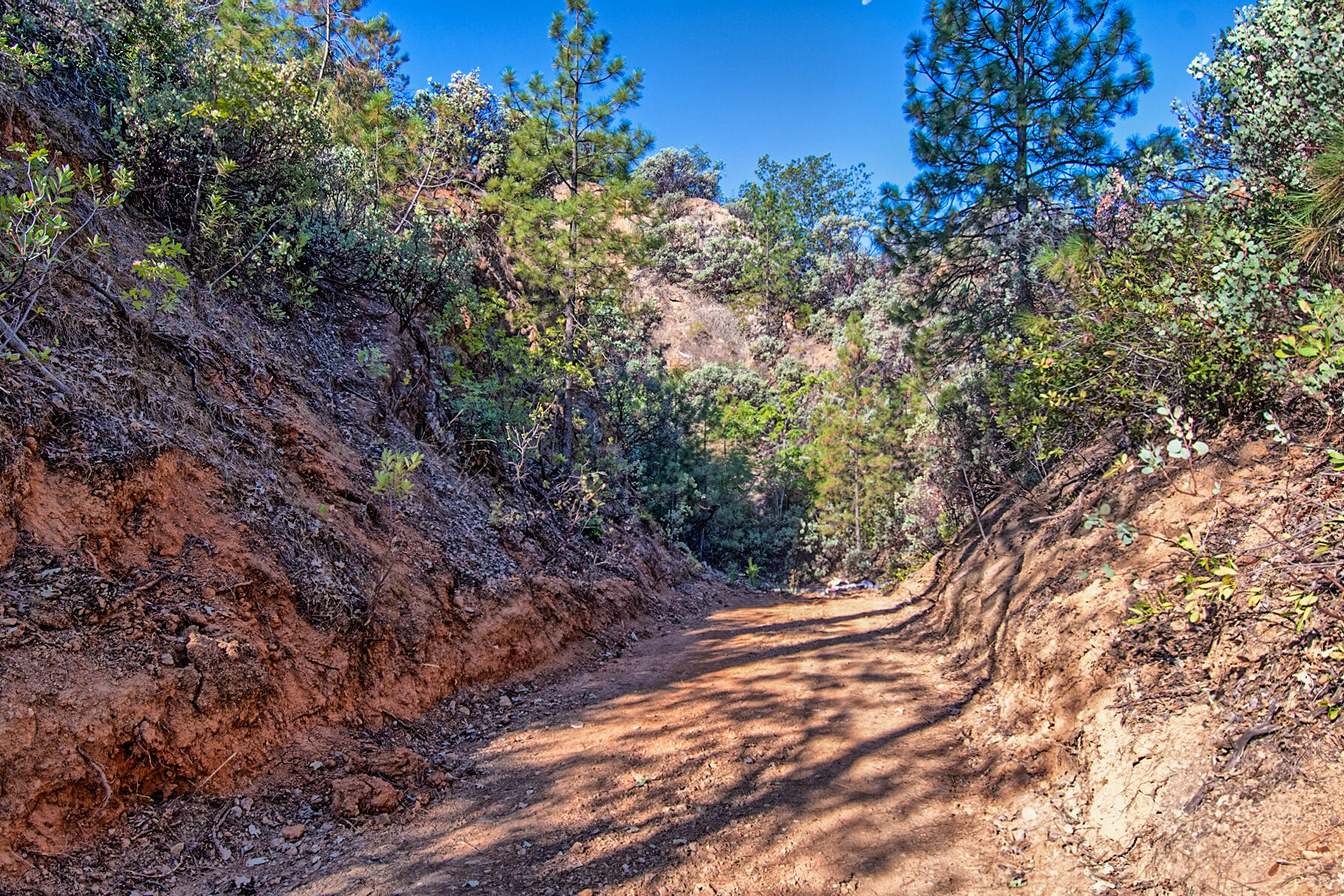 Walker Mine Road Redding, CA 96003 - Photo 15 of 38 a view of an outdoor space with a tree