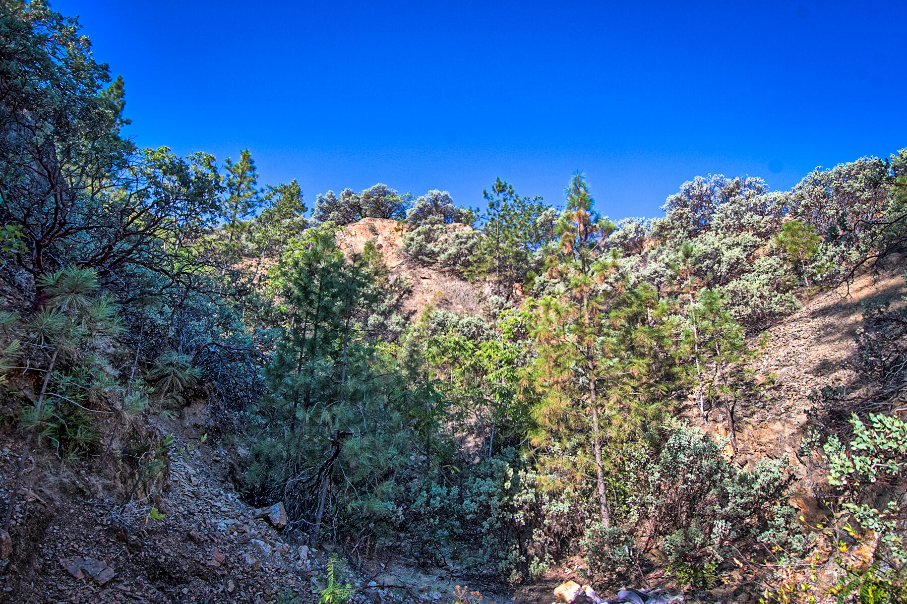 Walker Mine Road Redding, CA 96003 - Photo 16 of 38 a view of a large building with a tree in the background
