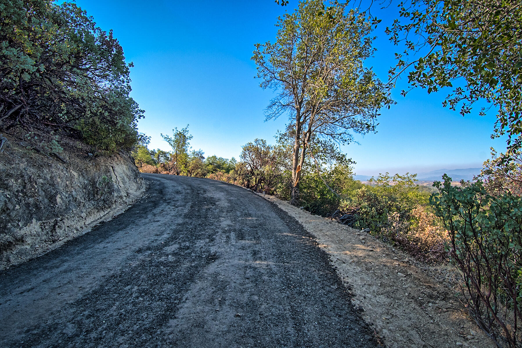 Walker Mine Road Redding, CA 96003 - Photo 20 of 38 a view of a dry yard with lots of bushes