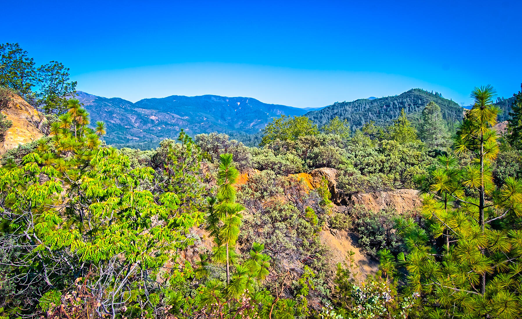 Walker Mine Road Redding, CA 96003 - Photo 24 of 38 a view of a area with lots of bushes