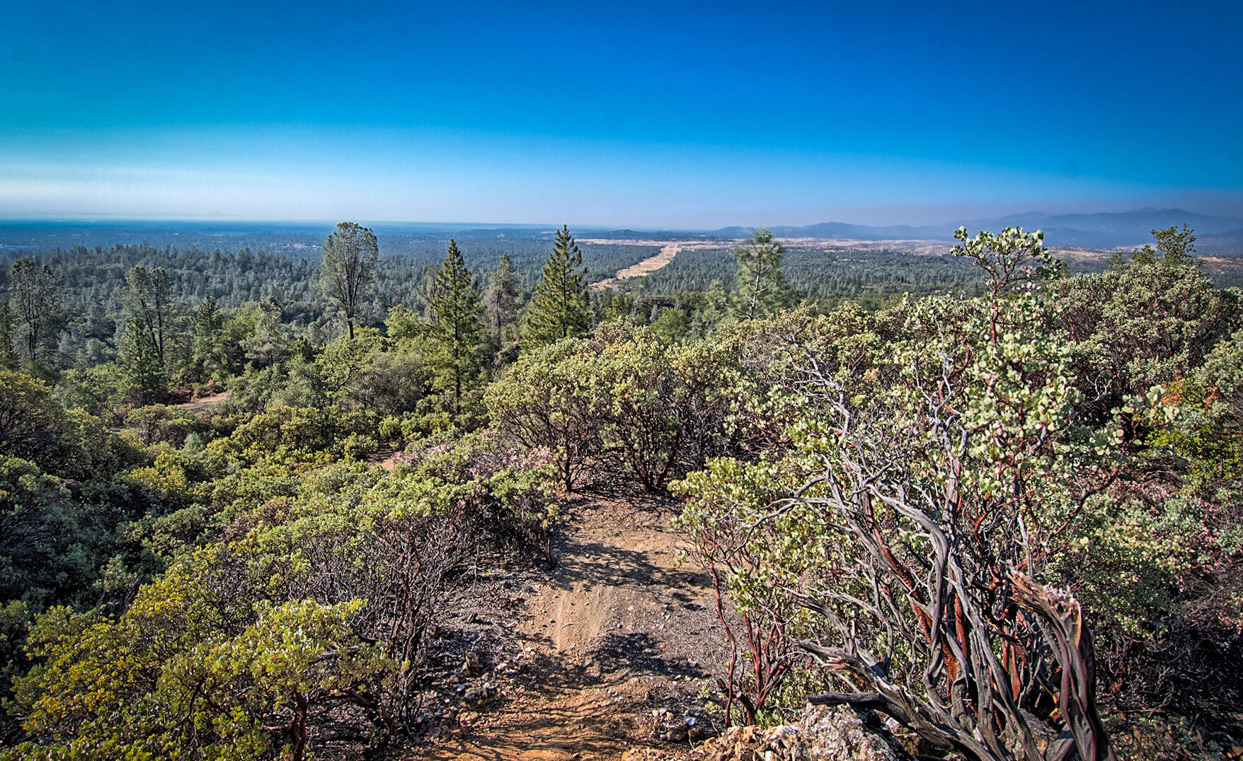 Walker Mine Road Redding, CA 96003 - Photo 26 of 38 a view of a city with lush green forest