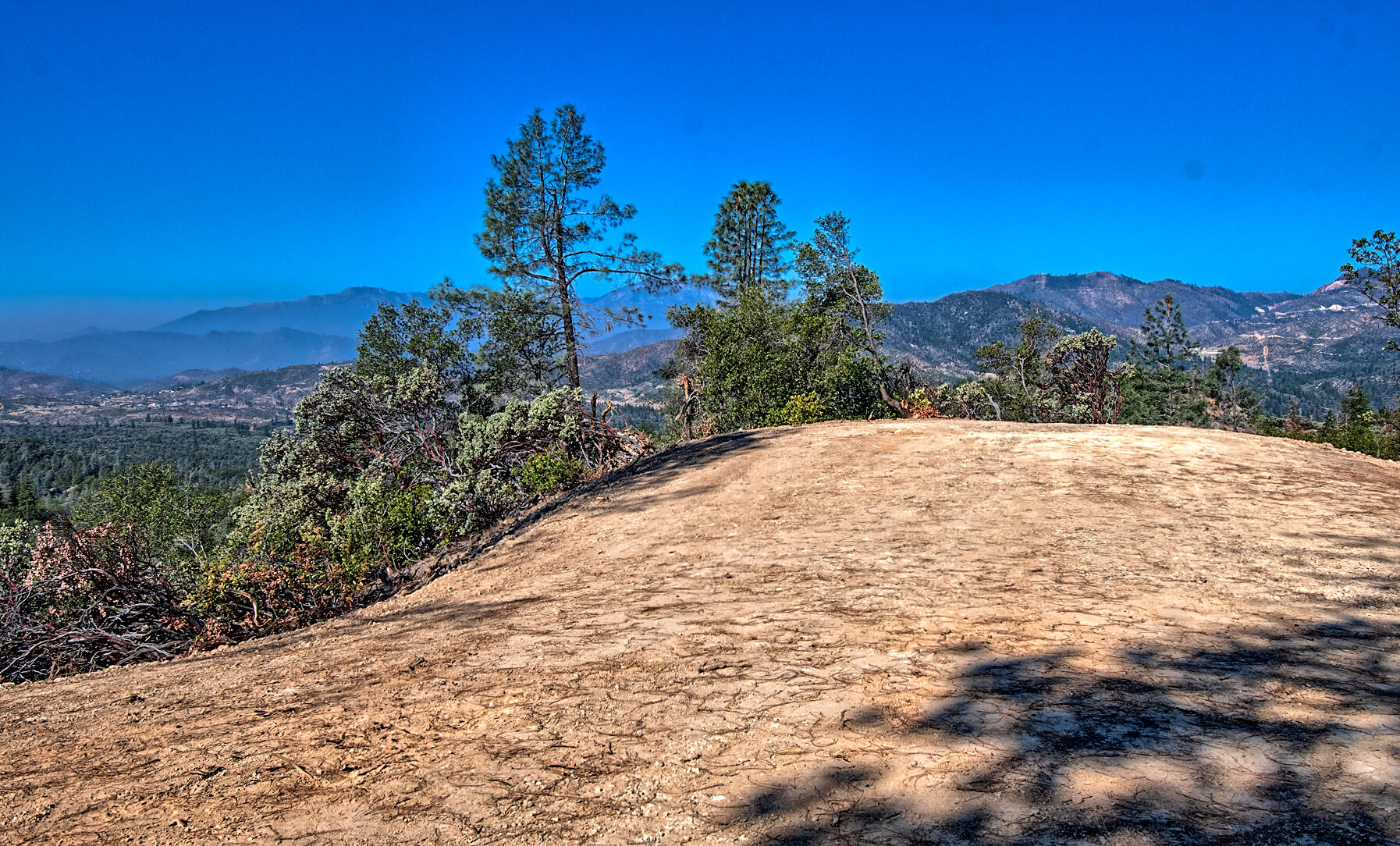Walker Mine Road Redding, CA 96003 - Photo 33 of 38 a view of a yard with a tree
