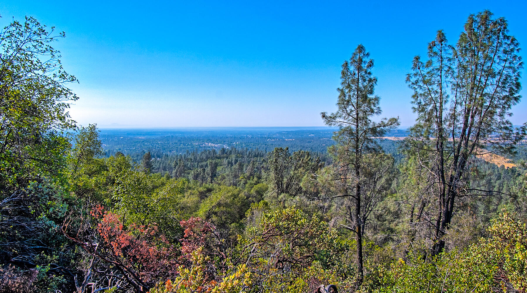 Walker Mine Road Redding, CA 96003 - Photo 35 of 38 a view of a city with lush green forest