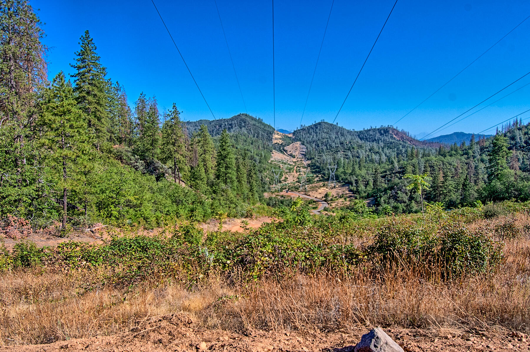 Walker Mine Road Redding, CA 96003 - Photo 37 of 38 a view of a yard with a tree