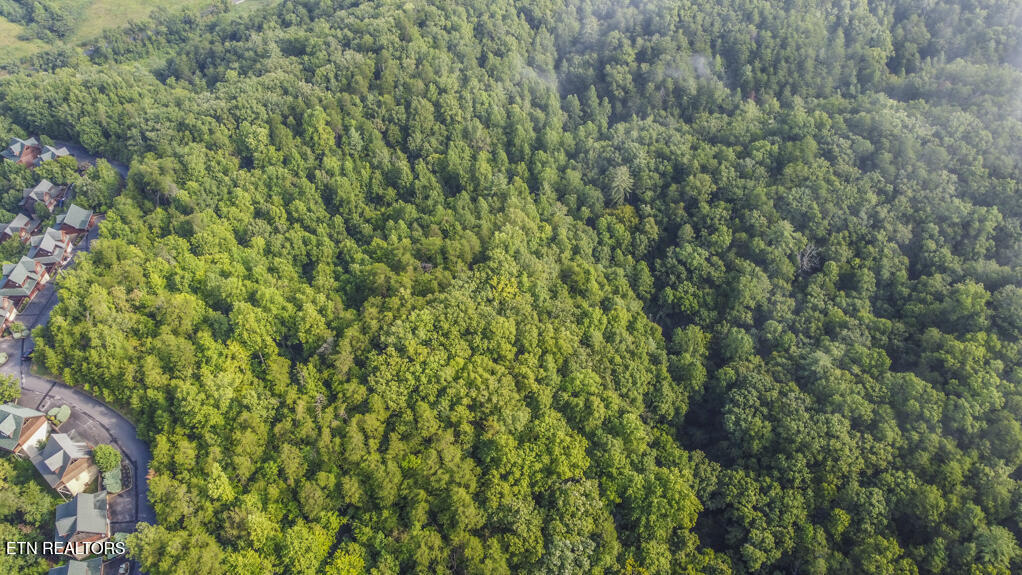 South New Era Road Sevierville, TN 37876 - Photo 9 of 25 drone 8_1