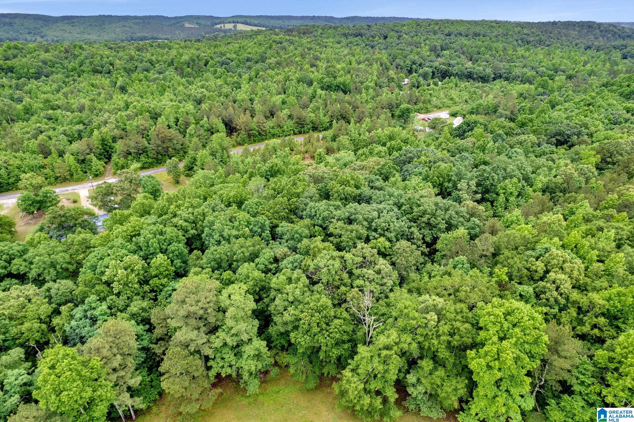 530 Mt Road Blountsville, AL 35031 - Photo 12 of 18