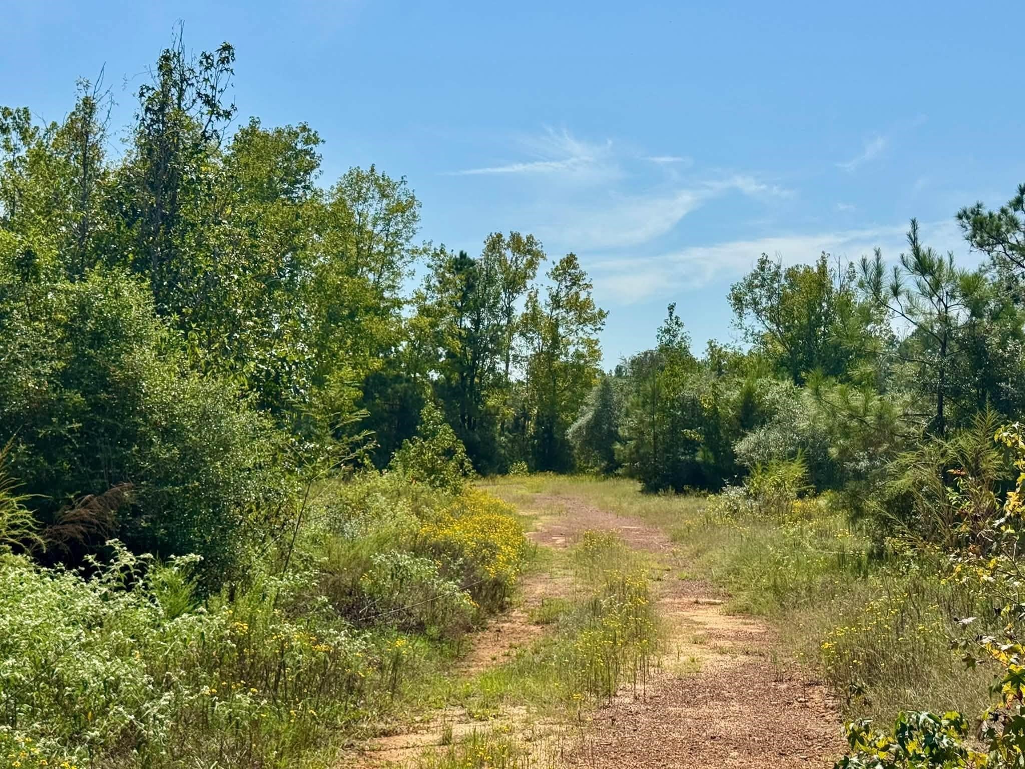 3 Private Road Hillister, TX 77624 - Photo 3 of 13 Gallery Image 3