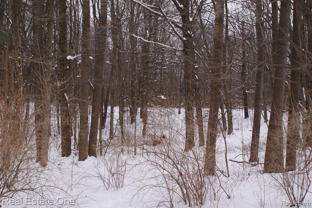 1 Miller Road Attica, MI 48412 - Photo 9 of 14