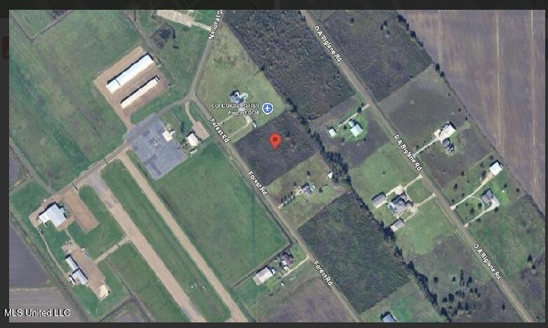 350 Forest Road Vidalia, LA 71373 - Photo 3 of 4 IMG_0425