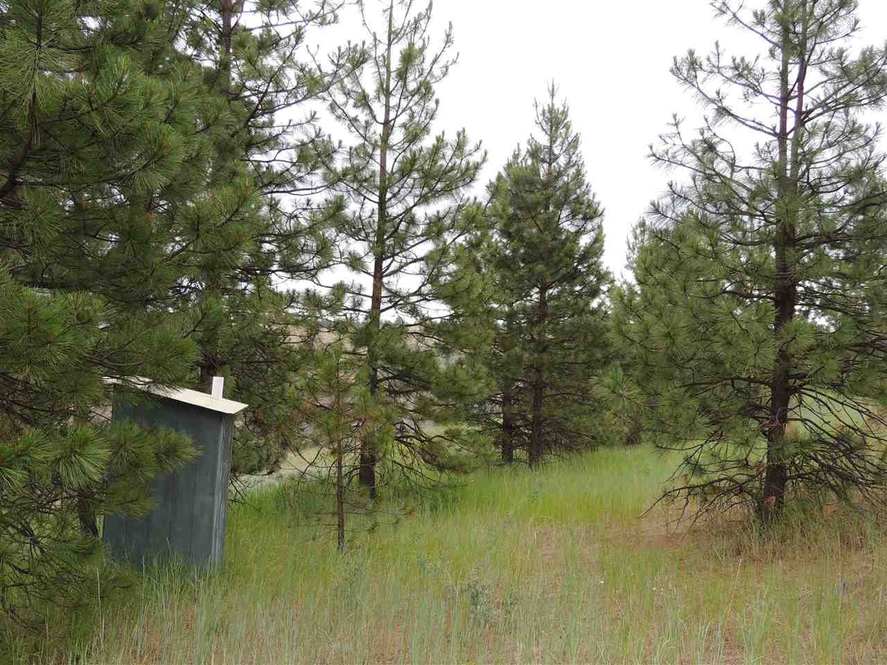 213 & 214 Road Creston, WA 99117 - Photo 11 of 15 Gallery Image 11