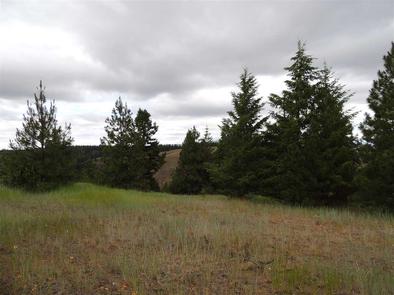 213 & 214 Road Creston, WA 99117 - Photo 14 of 15 Gallery Image 14