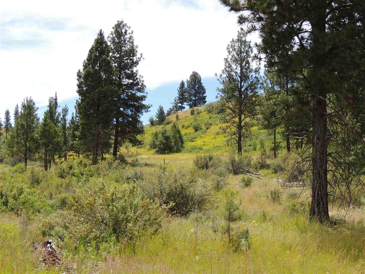 213 & 214 Road Creston, WA 99117 - Photo 15 of 15 Gallery Image 15