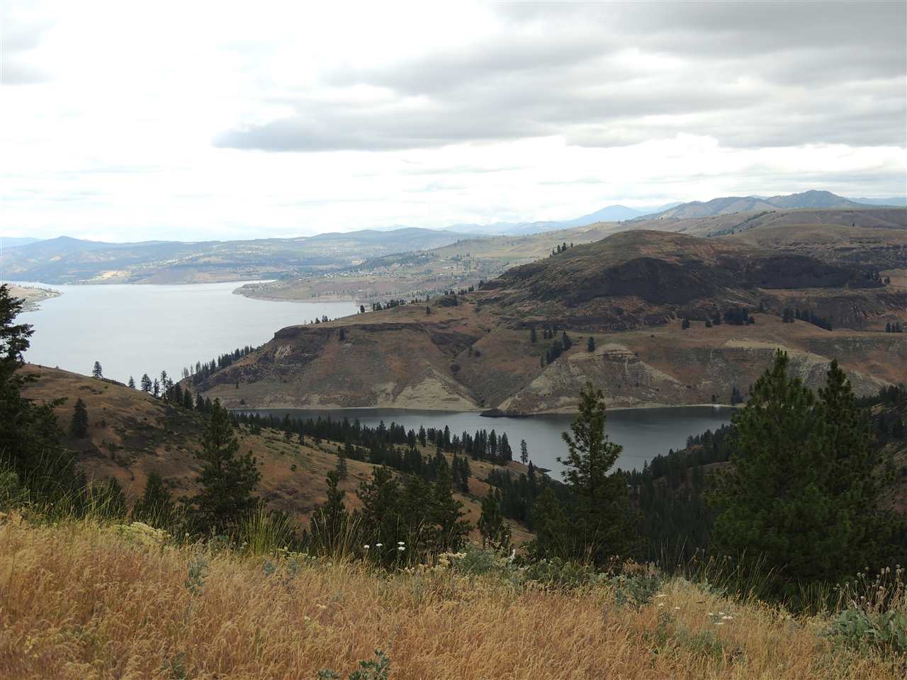 213 & 214 Road Creston, WA 99117 - Photo 4 of 15 Gallery Image 4