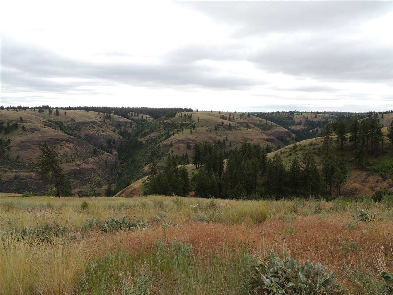 213 & 214 Road Creston, WA 99117 - Photo 5 of 15 Gallery Image 5