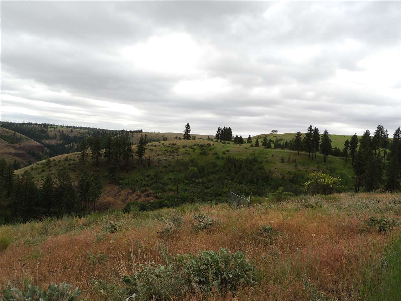 213 & 214 Road Creston, WA 99117 - Photo 6 of 15 Gallery Image 6