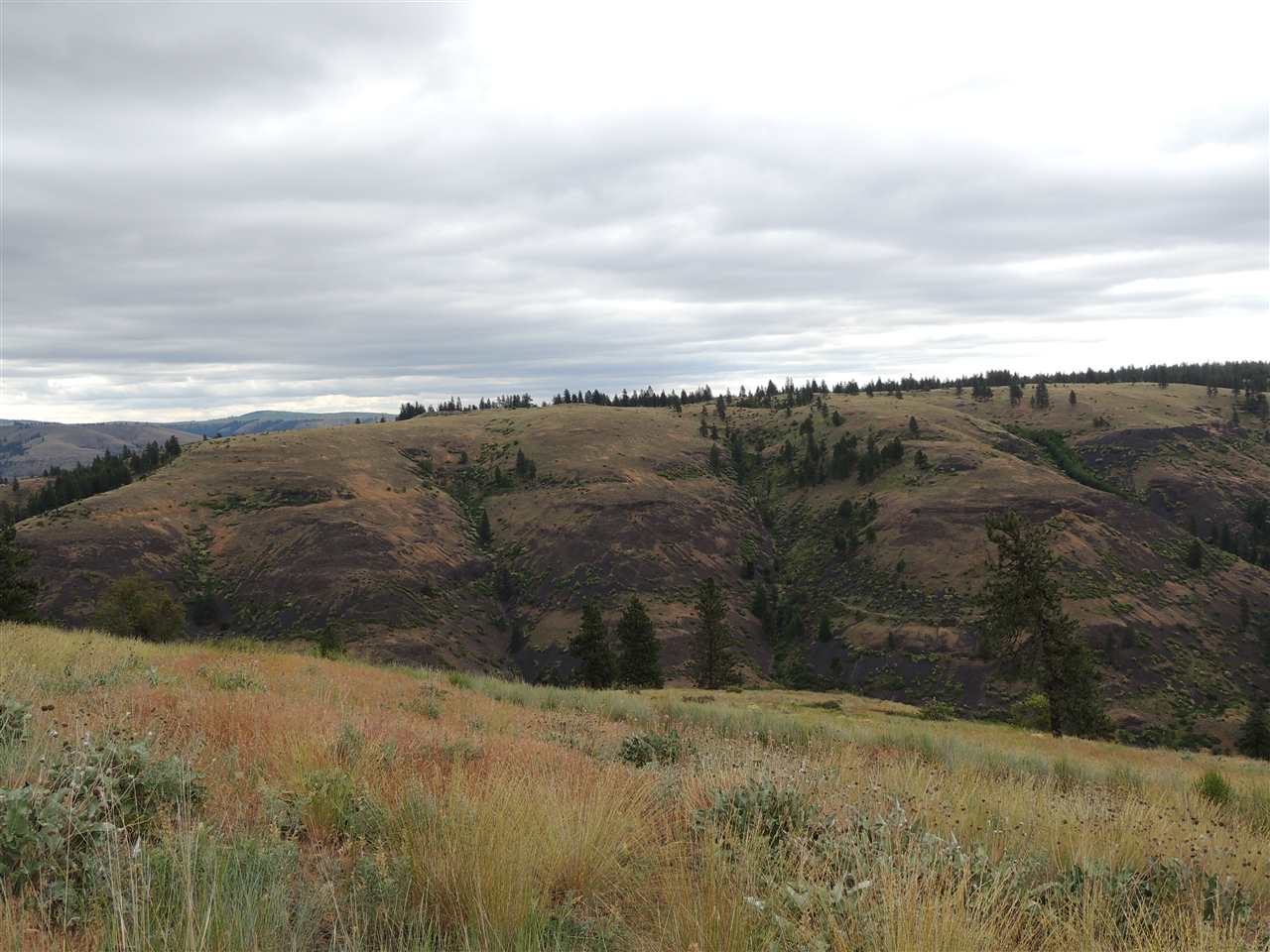 213 & 214 Road Creston, WA 99117 - Photo 7 of 15 Gallery Image 7