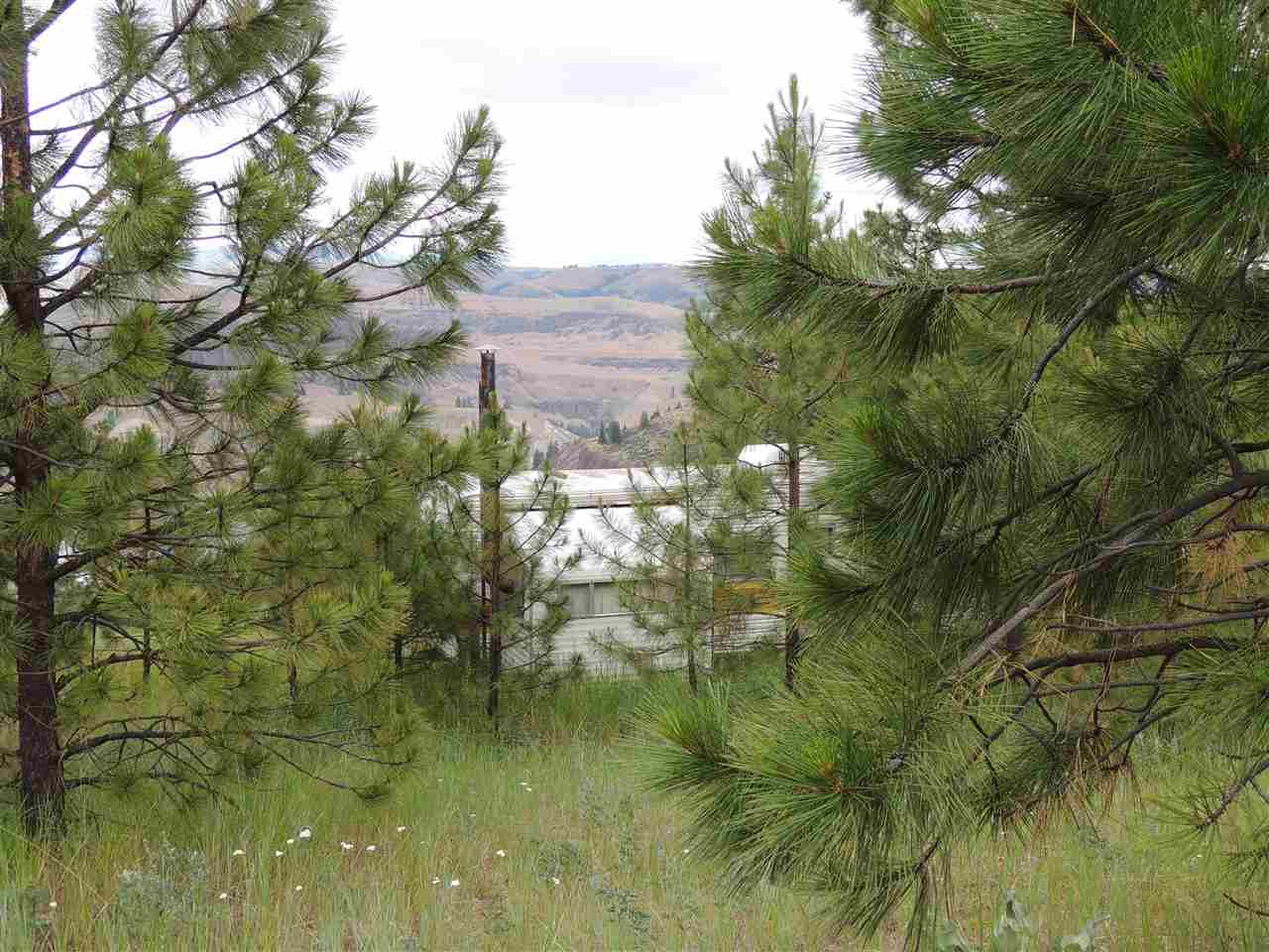 213 & 214 Road Creston, WA 99117 - Photo 8 of 15 Gallery Image 8