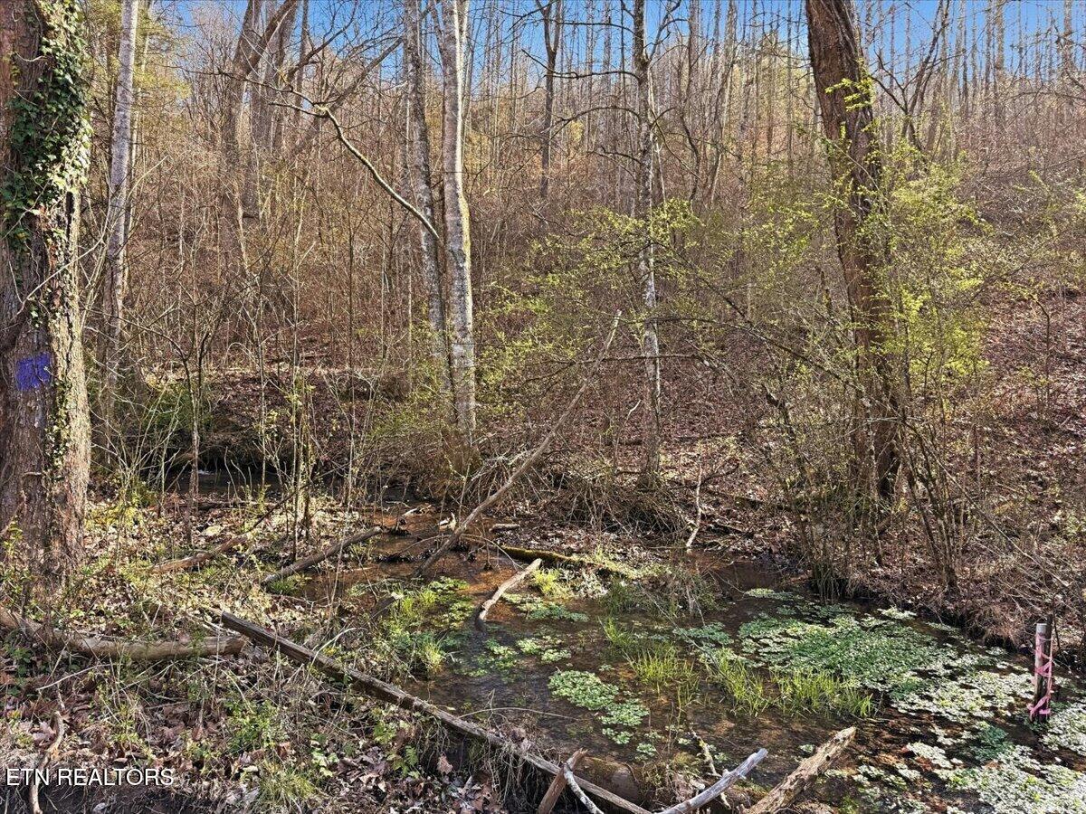 180 Hill Road Heiskell, TN 37754 - Photo 11 of 18 17-008_IMG_2025