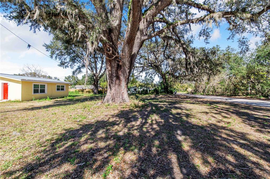 Fouse Avenue Dundee, FL 33838 - Photo 4 of 7