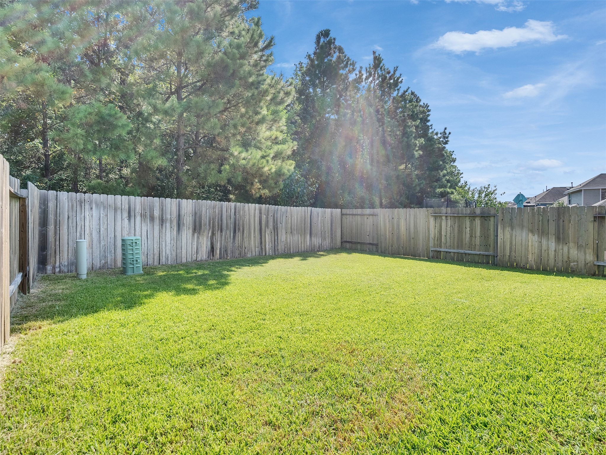 29859 Woodsons Edge Way Spring, TX 77386 - Photo 27 of 36 Beautiful well maintained lawn