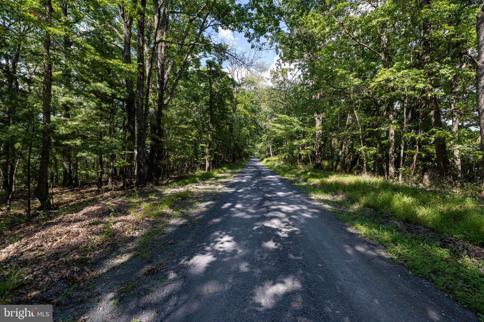 0 Supinlick Ridge Road Mount Jackson, VA 22842 - Photo 8 of 33 Gallery Image 8