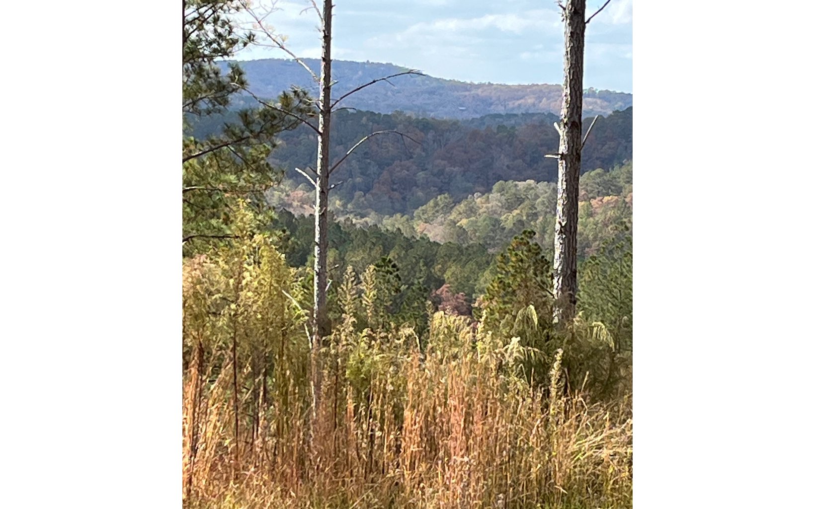 60 Seven Mile Creek Rd  