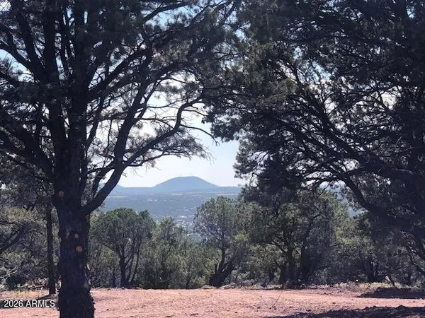 $1,200,000 | Lot 20 Mountain Pine Road, Show Low, AZ 85901