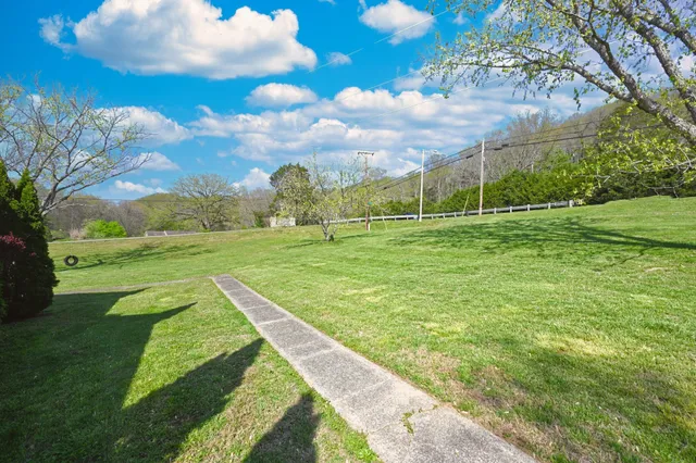 a view of a big yard with palm trees
