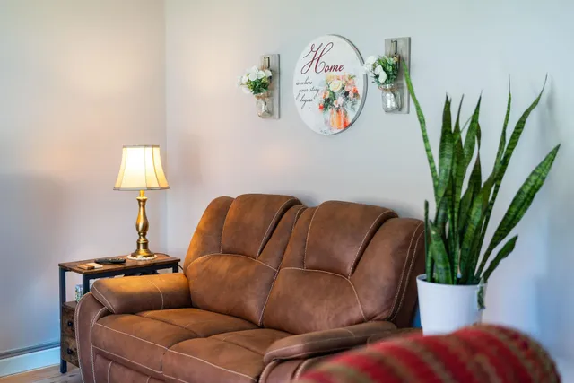 a living room with furniture plant and a window
