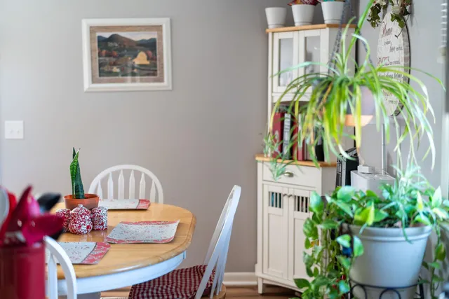 a view of a dining room with furniture and a potted plant
