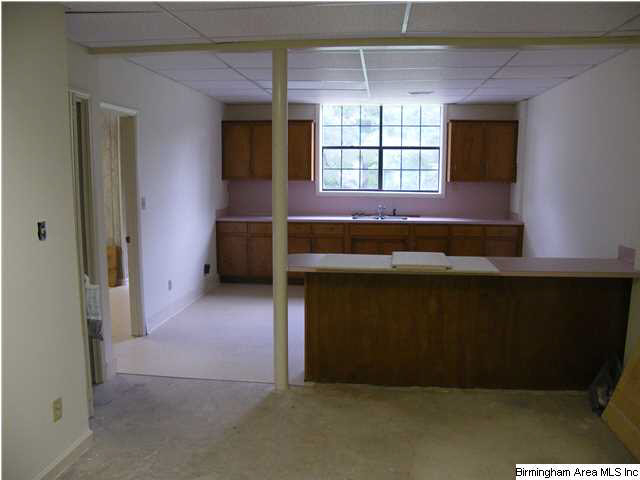 3018 Mount Olive Road Mount Olive, AL 35117 - Photo 14 of 23