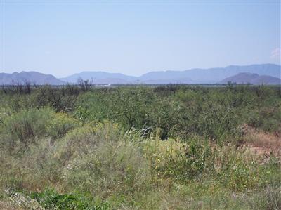 0 Wells Fargo Road Southeast Willcox, AZ 85643 - Photo 3 of 3