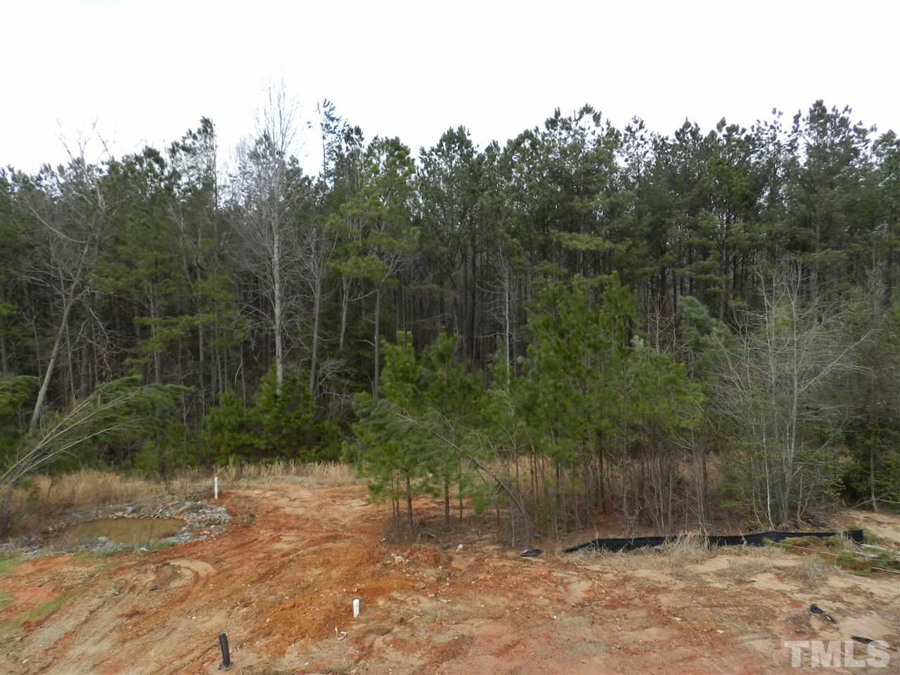 430 Fieldtrial Circle Garner, NC 27529 - Photo 21 of 23 a view of a yard with trees