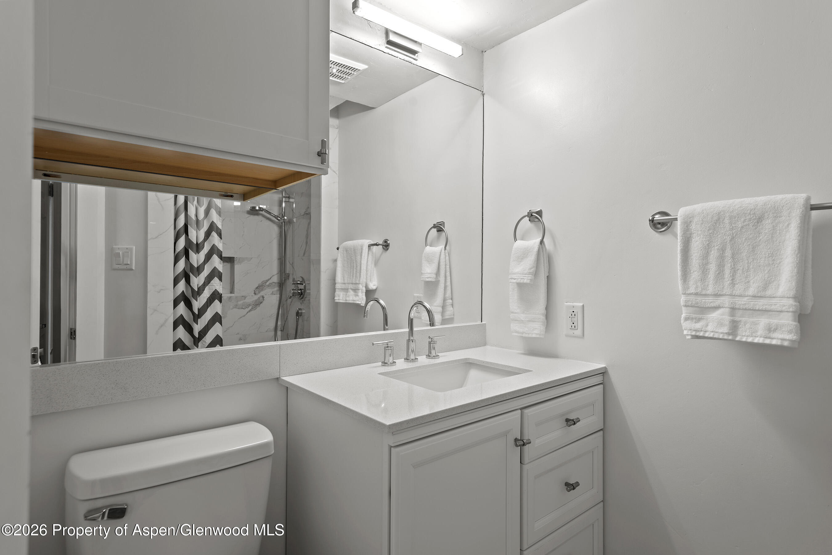 1024 East Cooper Avenue, Unit 2 Aspen, CO 81611 - Photo 20 of 25 Guest Bath 1