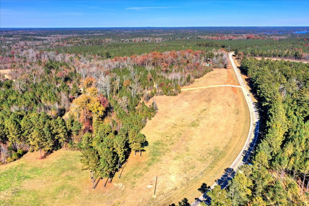 16-ac Maxim Road Lincolnton, GA 30817 - Photo 16 of 20