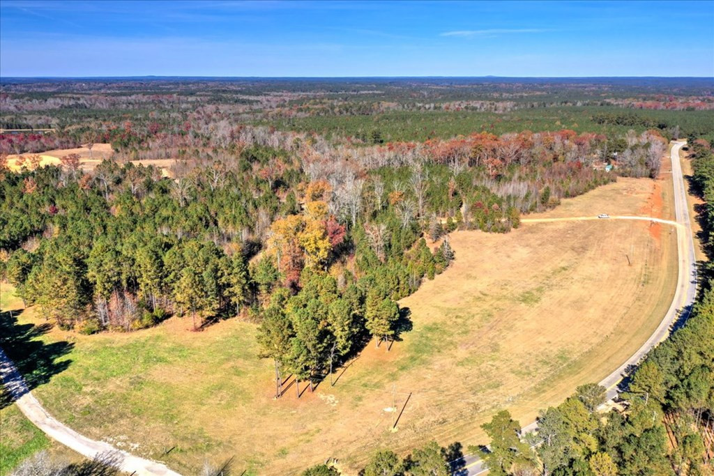 16-ac Maxim Road Lincolnton, GA 30817 - Photo 17 of 20