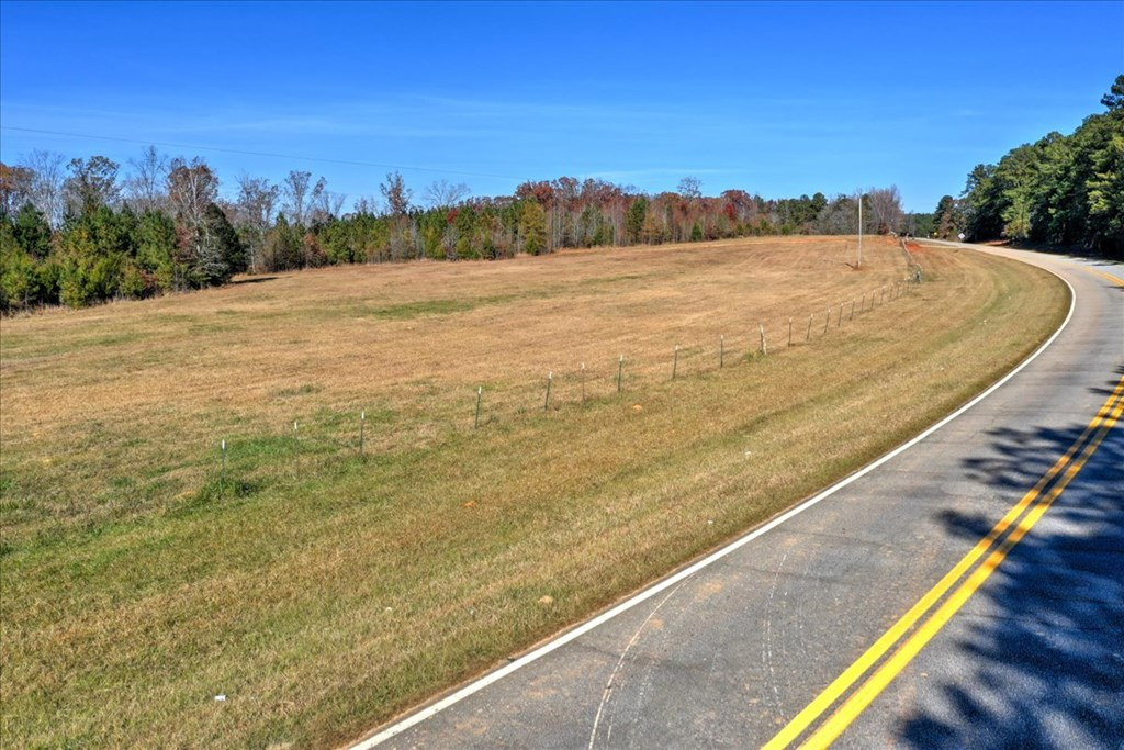 16-ac Maxim Road Lincolnton, GA 30817 - Photo 19 of 20