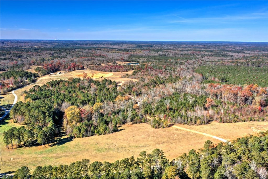 16-ac Maxim Road Lincolnton, GA 30817 - Photo 2 of 20