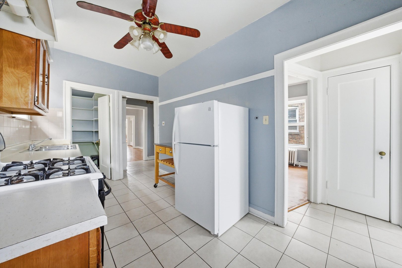 8019 South Rhodes Avenue Chicago, IL 60619 - Photo 21 of 55