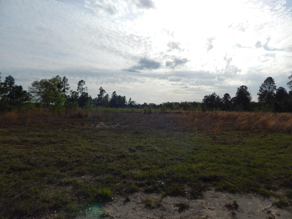 0 Brown Hill Road Jackson, SC 29831 - Photo 2 of 3