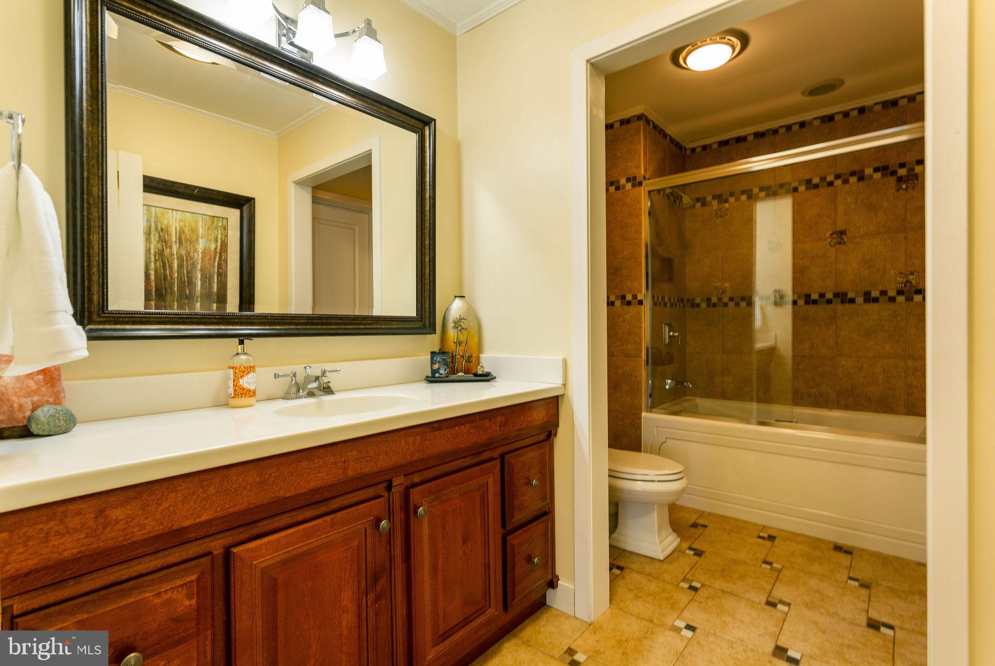 7108 Ridge Crest Drive Frederick, MD 21702 - Photo 24 of 51 Full Bath from Hallway
