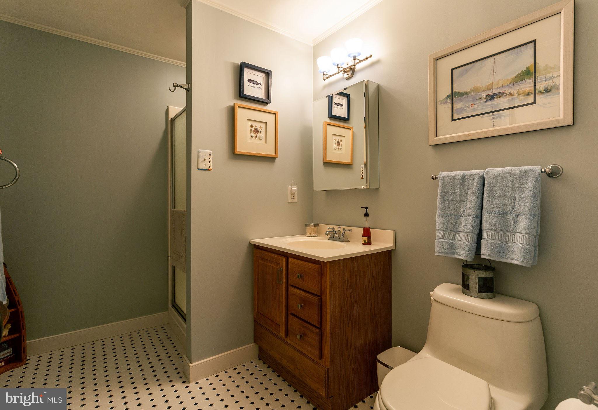 7108 Ridge Crest Drive Frederick, MD 21702 - Photo 39 of 51 3rd Full Bath in Lower Level