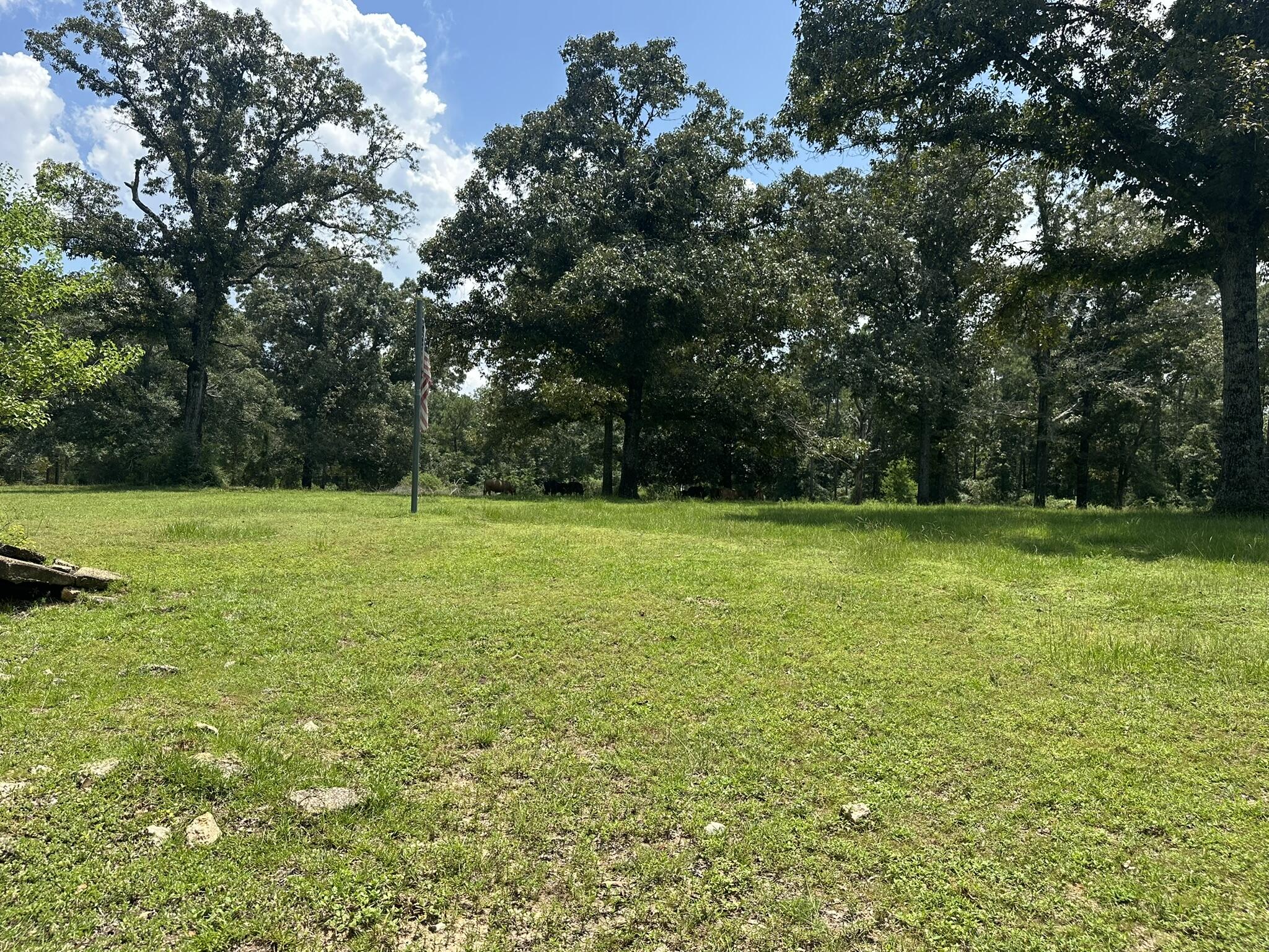 Lot 3 Bullard Road Milton, FL 32570 - Photo 8 of 9 IMG_1609