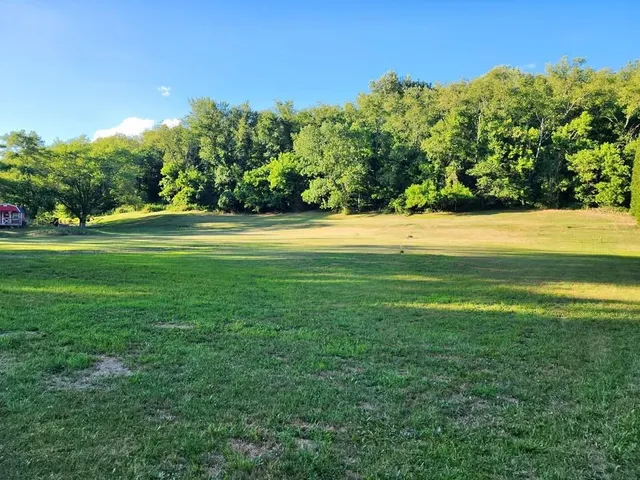 a view of a big yard with an trees